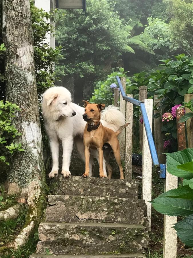 Chale Romantico - Gramado Buitenkant foto